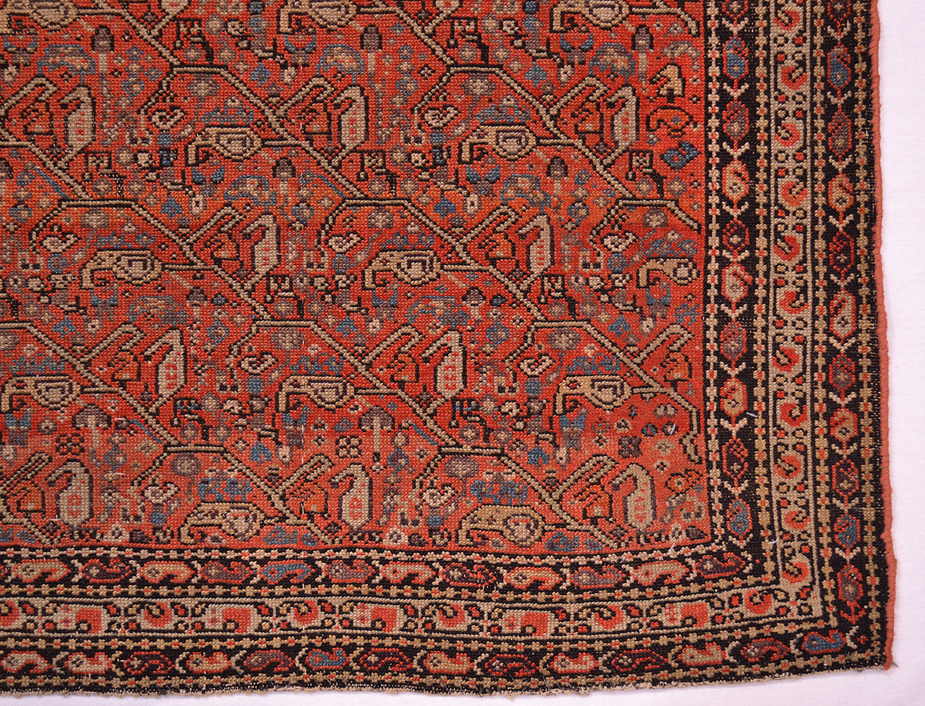 Ant Rug Fine antique rug 1.92x1.26m / 6ft4x4ft2 | The Oriental Rug Merchant